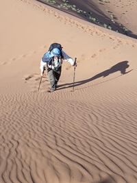 "Ascension" de la grande dune (+100m) "Ascension" de la grande dune (+100m)